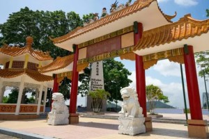 Desinformación, decisiones públicas y el costo de actuar sin&nbsp;datos.